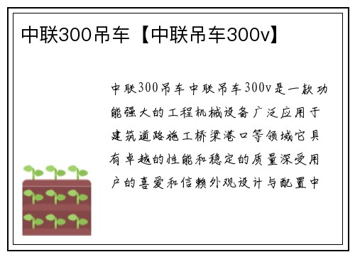 中联300吊车【中联吊车300v】