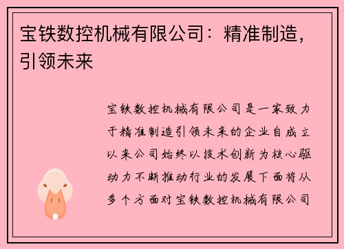 宝铁数控机械有限公司：精准制造，引领未来